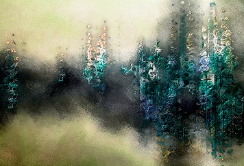Forest Fog | Mysterious forest in the morning fog